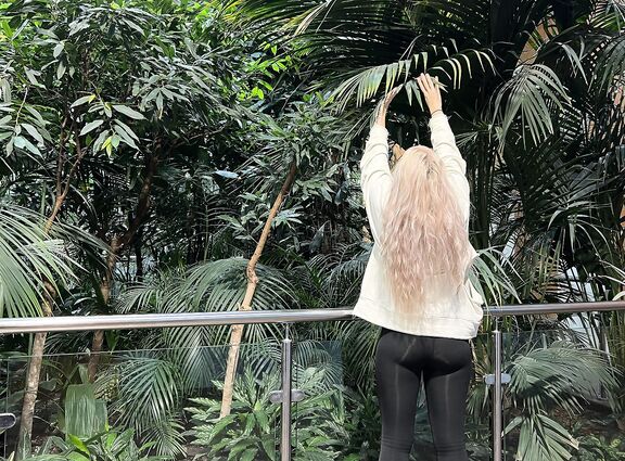 Прекрасное