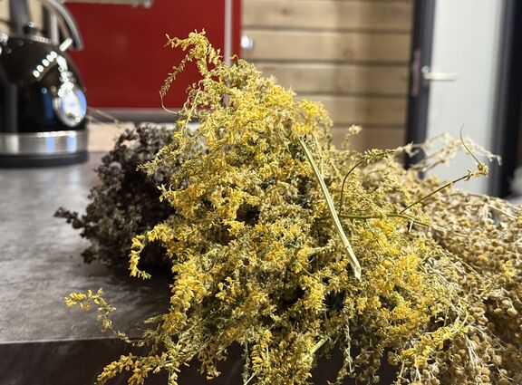 кенукенкуен