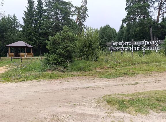,, свое